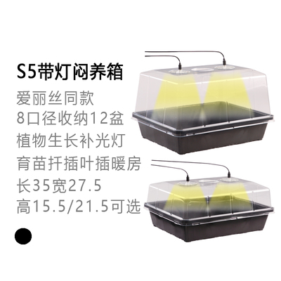 多肉叶插盘植物育苗繁殖扦插苗盘