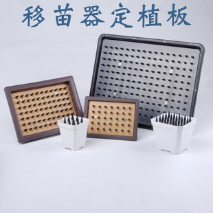 番杏科移苗器定植点播板插苗栽苗神器肉锥生石花种植整齐打洞工具