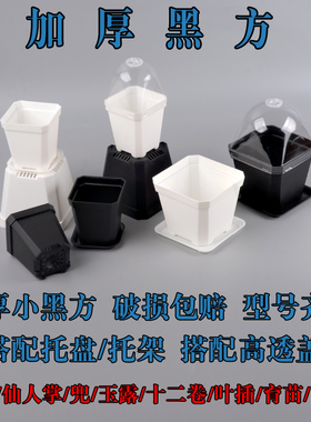 加厚多肉小黑方盆闷养盖多肉种植叶插育苗塑料厚花盆食虫玉露花盆