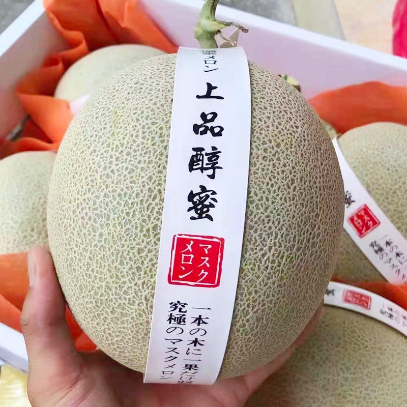 礼盒装/顺丰包邮/海南网纹蜜瓜阿露斯上品醇蜜冰淇淋玫珑瓜水果