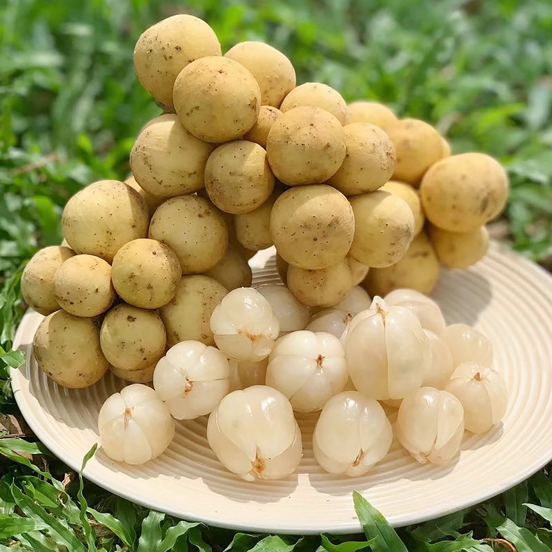 顺丰包邮 泰国龙宫果2斤当季新鲜进口水果贡果|msdalam kategori daging perikanan/Buah-buahan segar dan sayur-sayuran/dimasak, buah-buahan segar, lain - dari Buy2taobao.com untuk memberikan perkhidmatan ejen Taobao profesional membeli