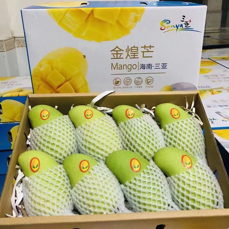 顺丰包邮 海南金煌芒8斤礼盒装当季新鲜水果|msdalam kategori daging perikanan/Buah-buahan segar dan sayur-sayuran/dimasak, buah-buahan segar, Mango - dari Buy2taobao.com untuk memberikan perkhidmatan ejen Taobao profesional membeli