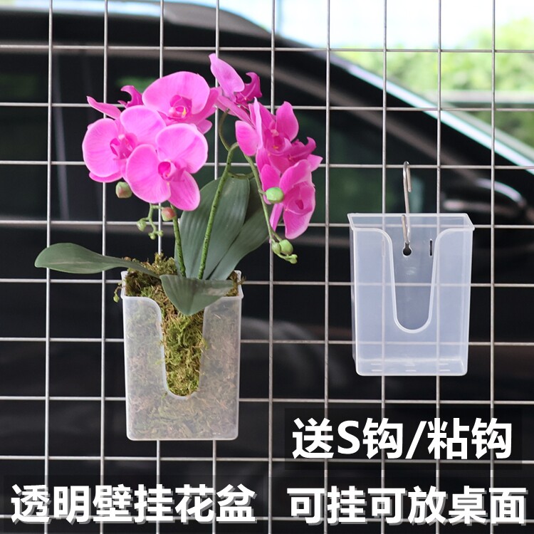 透明壁挂花盆蝴蝶兰专用花盆石斛鹿角蕨小盆栽种植盆粘贴挂墙花盆