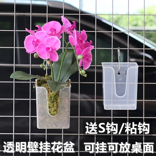透明壁挂花盆蝴蝶兰专用花盆石斛鹿角蕨小盆栽种植盆粘贴挂墙花盆