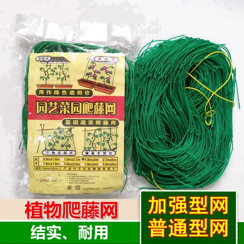 植物爬藤网攀爬网搭架网种植网