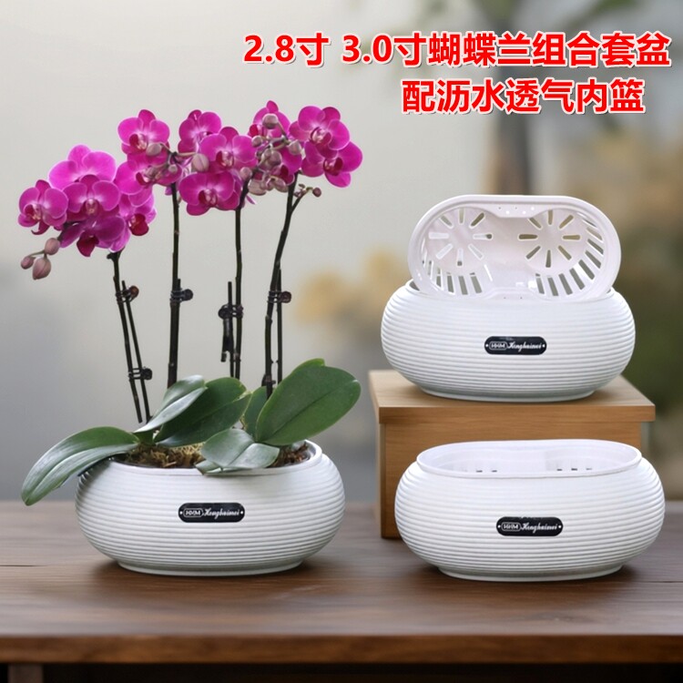 2.8寸3.0寸杯蝴蝶兰两棵拼组合专用花盆定植篮土培水培椭圆形套盆图片