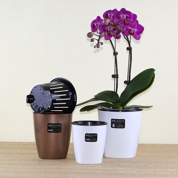 加厚蝴蝶兰专用花盆透气控根盆沥水网孔兰花杯育苗钵定植篮储水盆,鲜花速递/花卉仿真/绿植园艺,花盆,淘宝优惠券,粉丝福利购,淘宝优惠卷