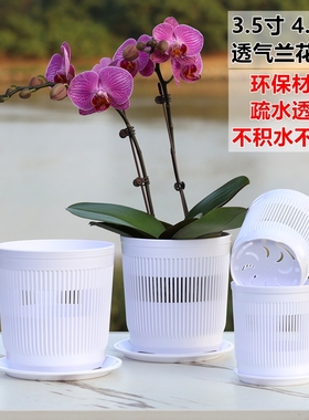 蝴蝶兰种植专用盆小盆栽拼组花盆控根盆透气网孔兰花杯定植育苗钵