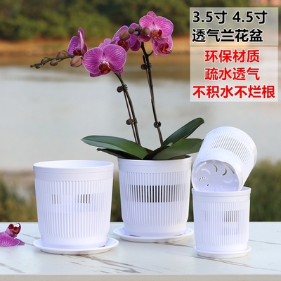 蝴蝶兰种植专用盆小盆栽拼组花盆控根盆透气网孔兰花杯定植育苗钵