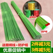 金钱树支架蔬菜瓜果爬藤架花卉盆栽植物支撑杆兰花固定铁丝线支柱