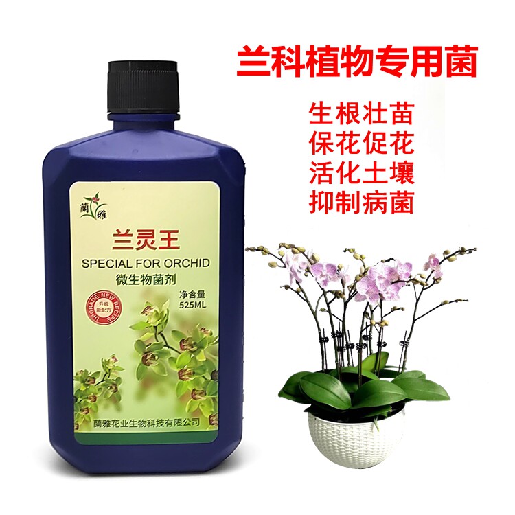 兰灵王蝴蝶兰兰花专用营养液肥料君子兰科活化剂生根催芽em菌肥料