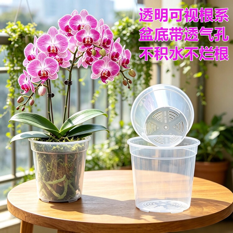 蝴蝶兰花专用花盆育苗杯营养钵图片