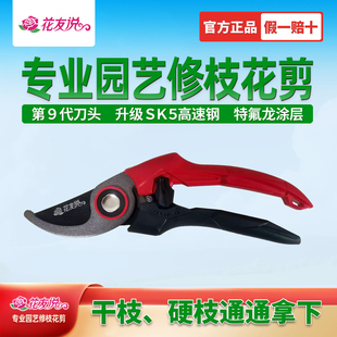 花枝修剪园林园艺花卉剪刀果树嫁接专用剪SK5高速钢 花友说好