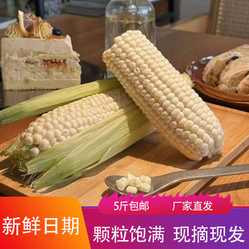南山溯冰淇淋牛奶水果玉米软糯香甜现摘现发苞米粗粮代餐早餐棒槌