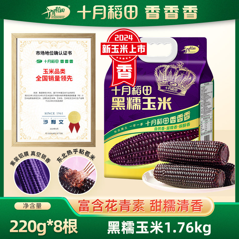 十月稻田黑糯玉米220g*8根粘糯香甜饱满东北苞米粗粮谷物代餐饱腹
