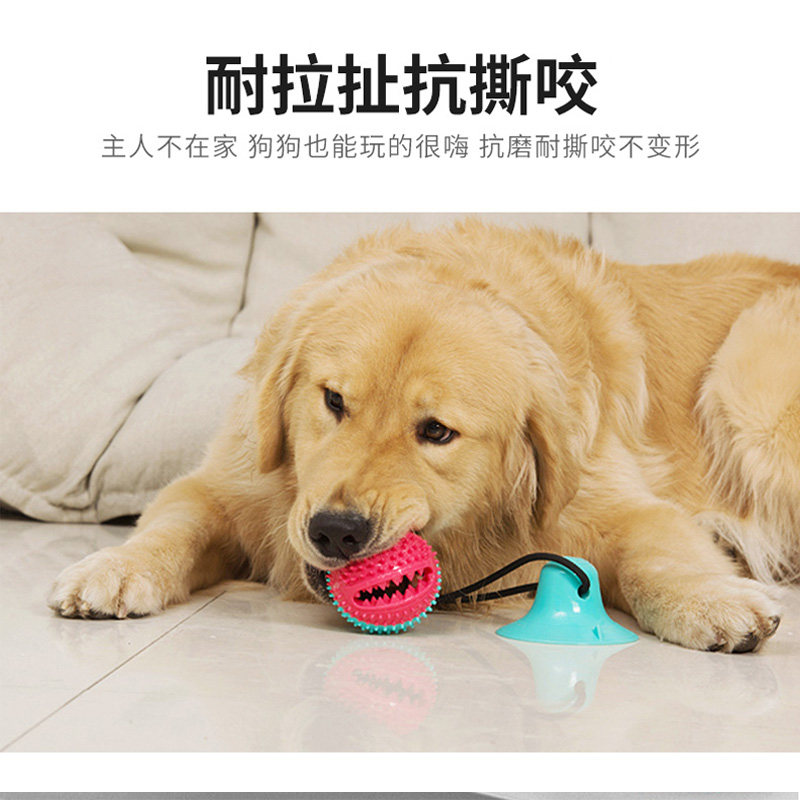 狗狗玩具b吸盘拉力球大型犬耐咬磨牙解闷神器金毛边牧玩具宠物用,宠物/宠物食品及用品,橡胶球/球形玩具,淘宝优惠券,粉丝福利购,淘宝优惠卷