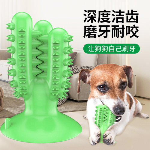 磨牙小狗边牧金毛牙刷神器用品