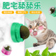 猫薄荷球猫玩具自嗨磨牙逗猫神器棒棒糖舔舔乐逗猫棒耐咬猫咪玩具