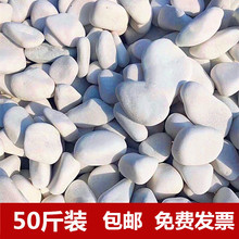 白石子白色石头50斤园林绿化造景石头鹅卵石庭院铺路铺地小白石头