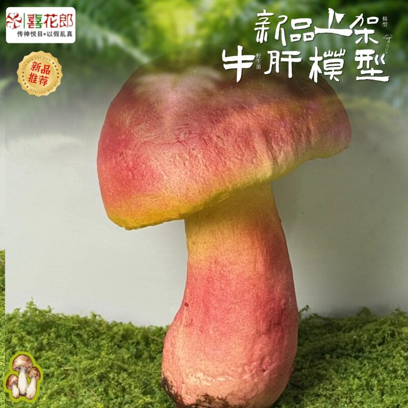 仿真野生菌模型20余款可选