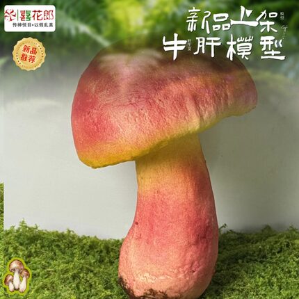 仿真野生菌模型云南牛肝菌松茸松露干巴菌等20余款场景造型道具
