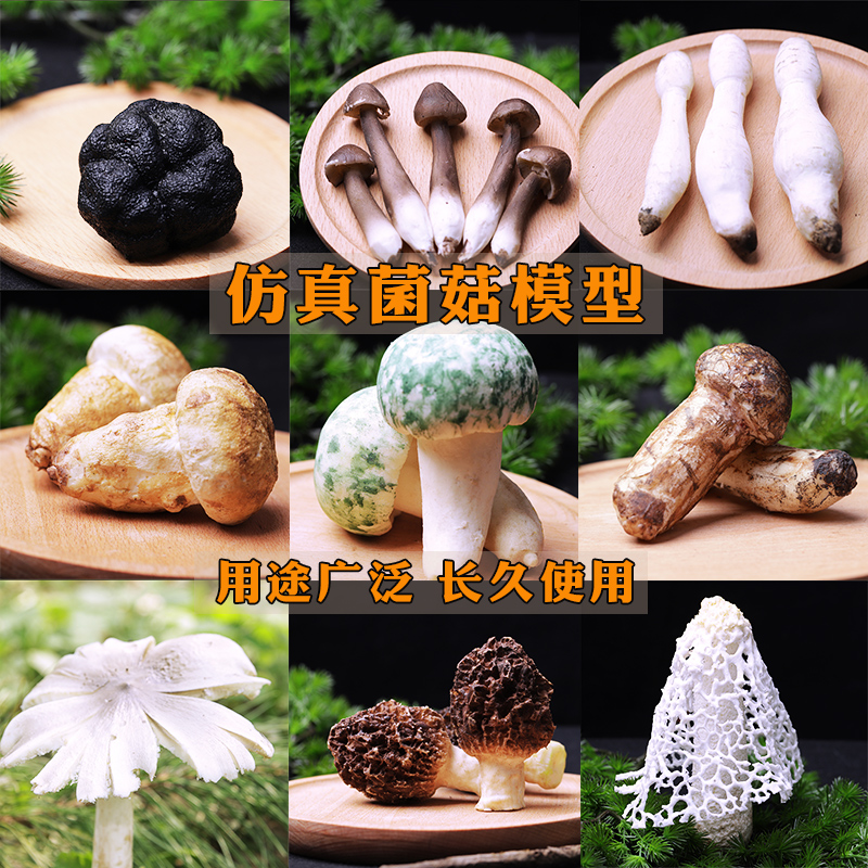 仿真云南野生蘑菇菌子模型青头鸡油羊肚菌牛肝菌松茸松露可定制