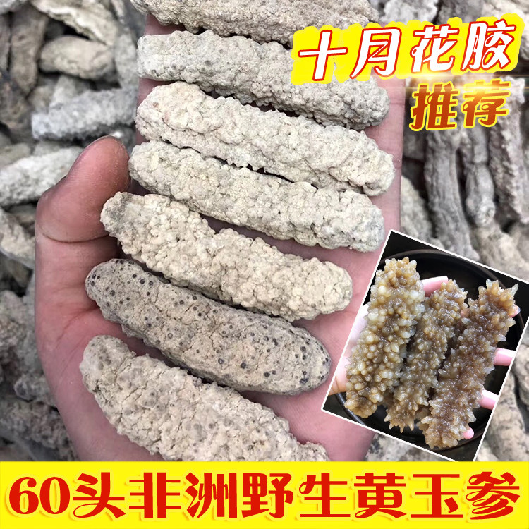 60头非洲野生黄玉参 深海野生淡干海参干货正品孕妇滋补散装500g