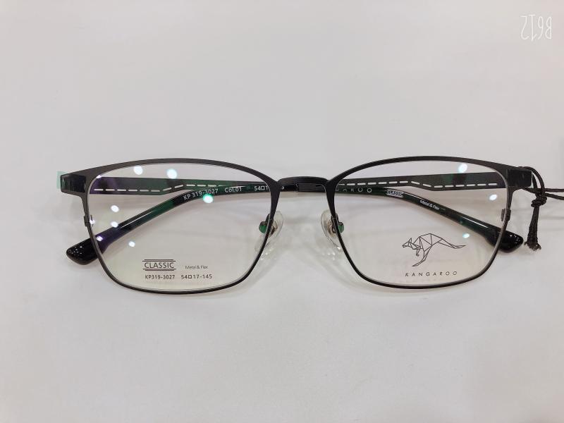 袋鼠变脸眼镜架 KANGAROO/眼镜框 带3D偏光夜视夹片 KP319-3027
