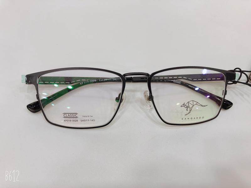 袋鼠变脸眼镜架 KANGAROO/眼镜框 带3D偏光夜视夹片 KP319-3028