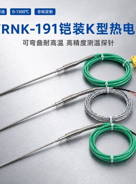 铠装热电偶WRNK191Pt100探头