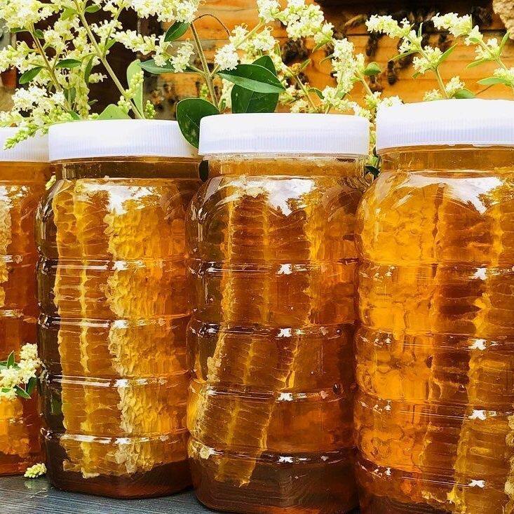 蜂巢蜜正宗纯蜜深山木桶密纯正天然土蜂蜜野生正宗蜂巢加蜜