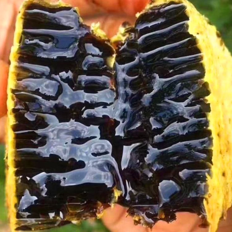 送树洞蜜云南野生蜂蜜崖蜜黑蜂蜜小挂蜜土蜂蜜正品巢蜜嚼着吃正品