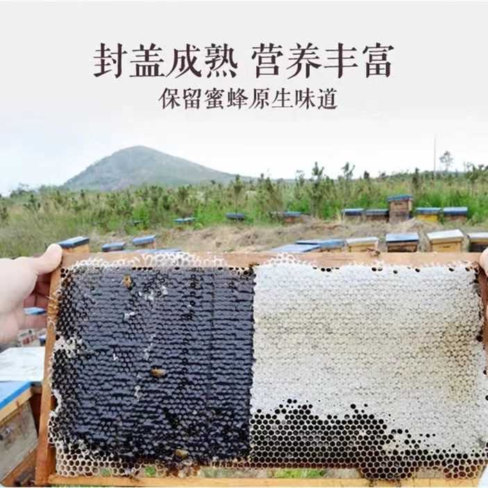 巢蜜纯正宗天然农家自产野生蜂蜜蜂巢素嚼着吃整张蜂巢蜜脾6斤