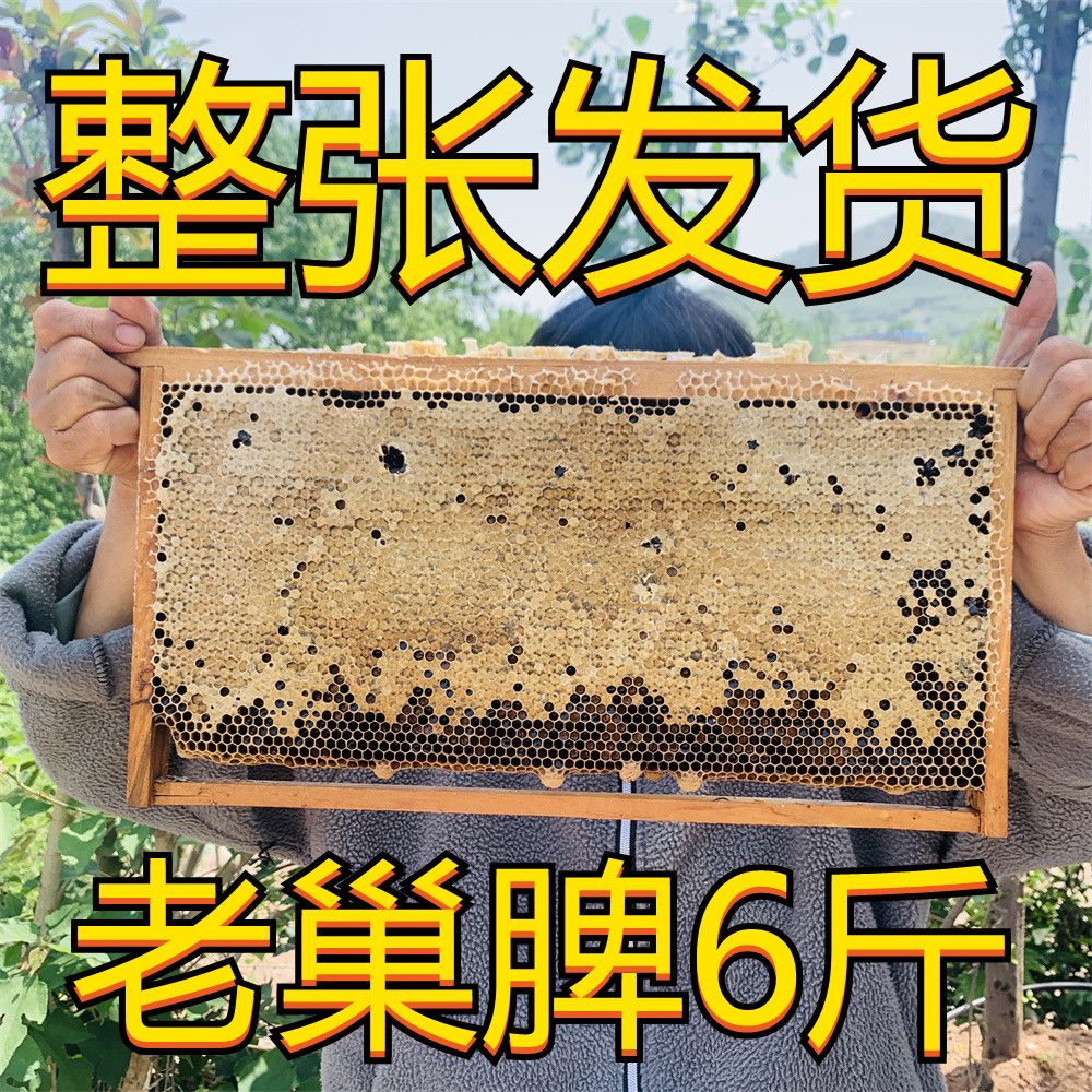 老巢蜜纯正宗天然农家自产野生蜂蜜蜂巢素嚼着吃整张蜂巢蜜脾6斤