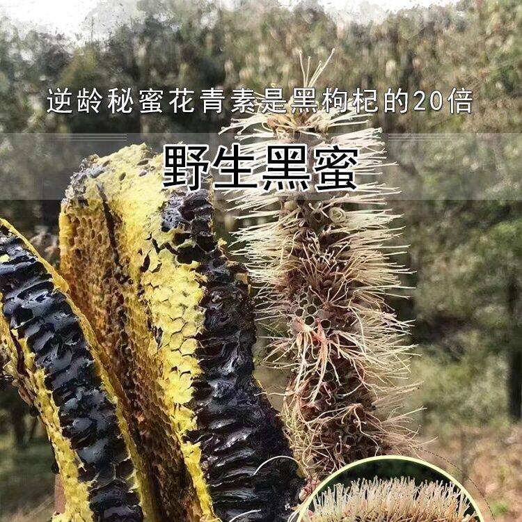 云南真天然野生黑蜂蜜西双版纳正宗野生米团花黑蜜悬崖蜜挂蜜