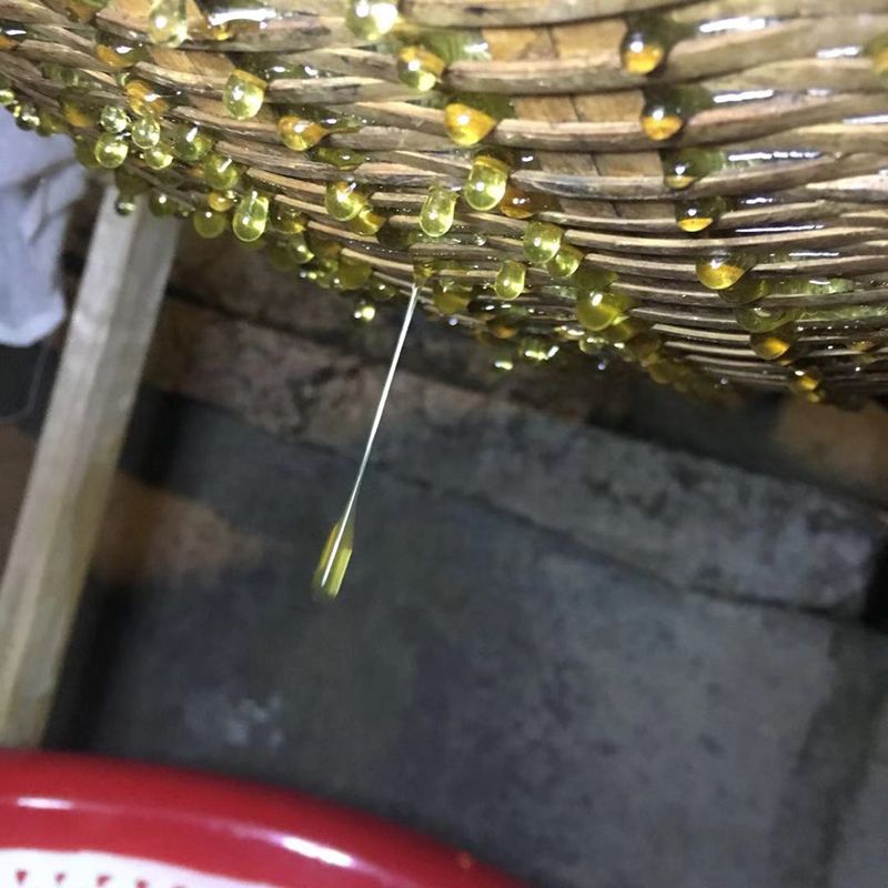 【珍稀野蜜】体验装 高原蜜 百花蜜500g 包邮土蜂蜜有蜂巢