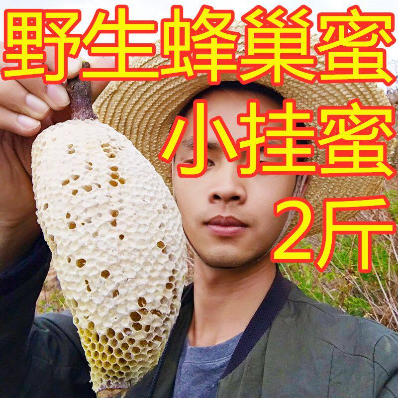 云南小挂蜜天然深山小草蜂排蜜嚼着吃野生纯土蜂蜜蜂巢蜜带树枝