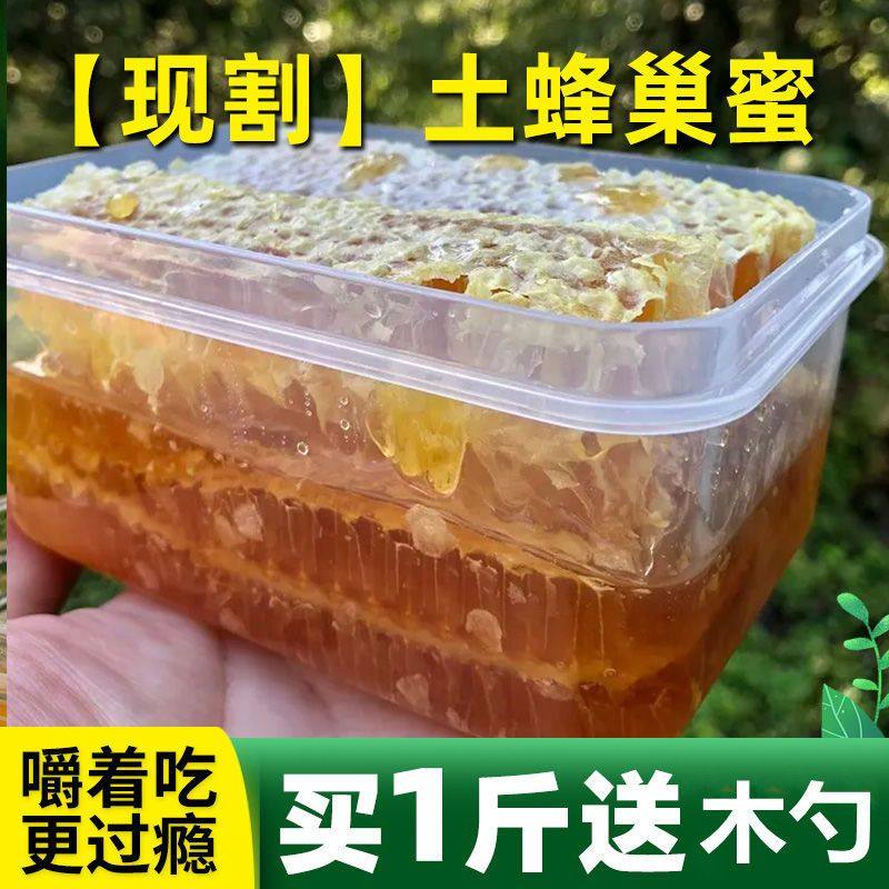 【现切】蜂巢蜜整块嚼着吃土蜂蜜纯正天然农家自产野生蜂窝蜜2斤