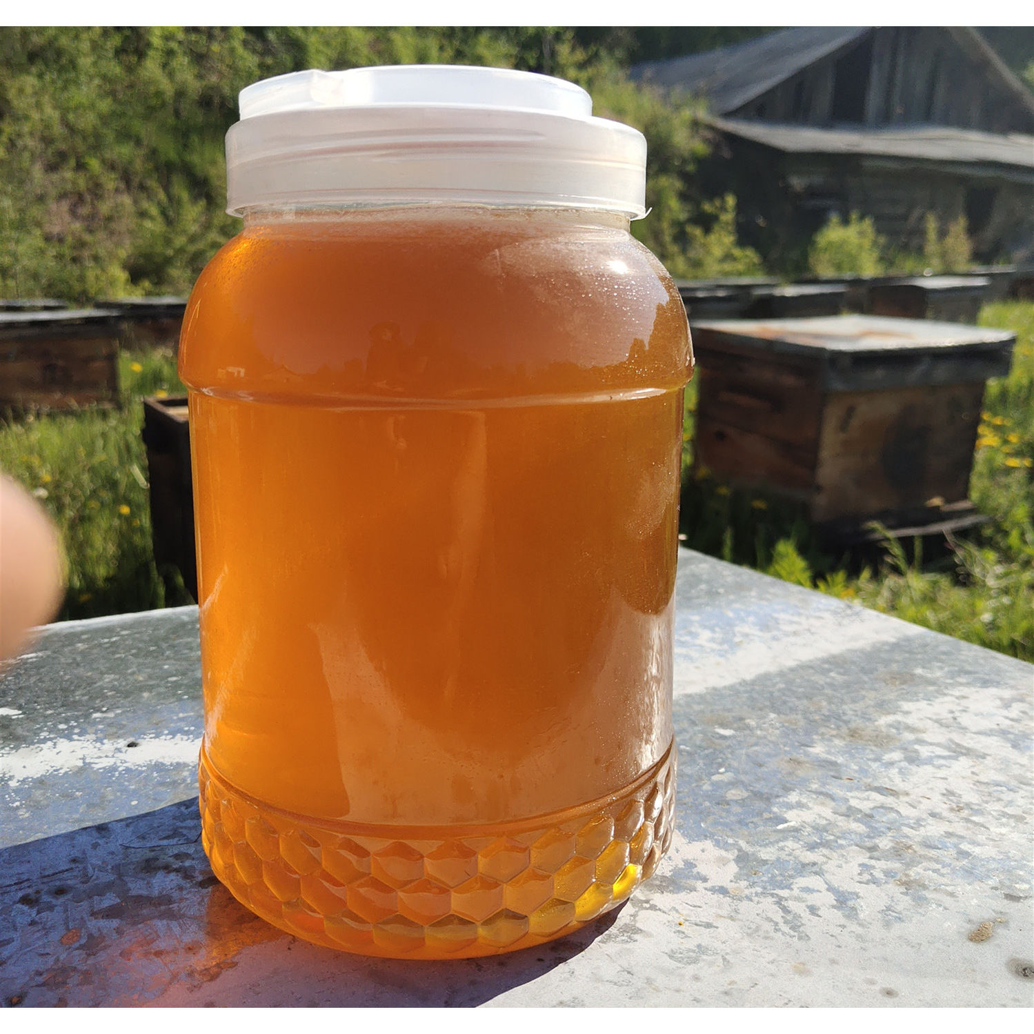 蜂蜜纯正天然农家自产百花蜜深山土蜂蜜结晶正品孕妇洋槐峰蜜野生