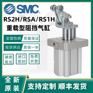 RSH20/RS2H50/63/80/RSA50/RS1H63/80-DL-DM-BL-BM-TL-TM阻挡气缸