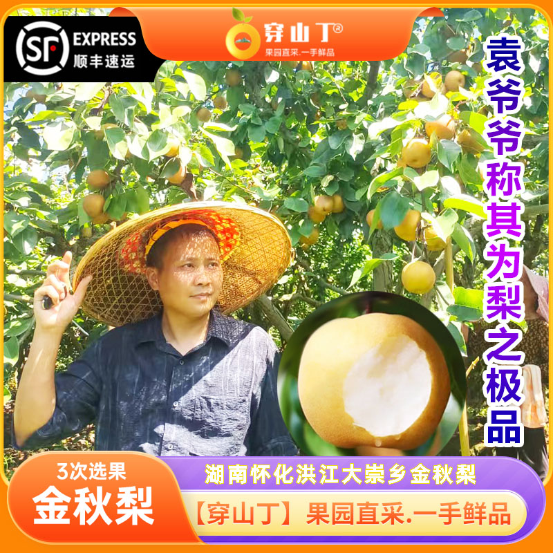 湖南省怀化市洪江市大崇乡