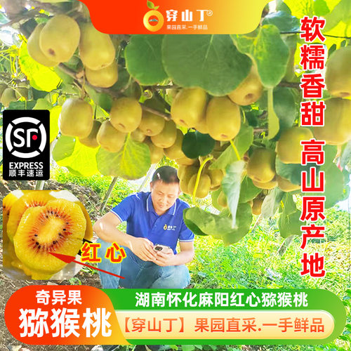 怀化麻阳红心猕猴桃产地直发顺丰