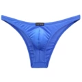 Blue Brief