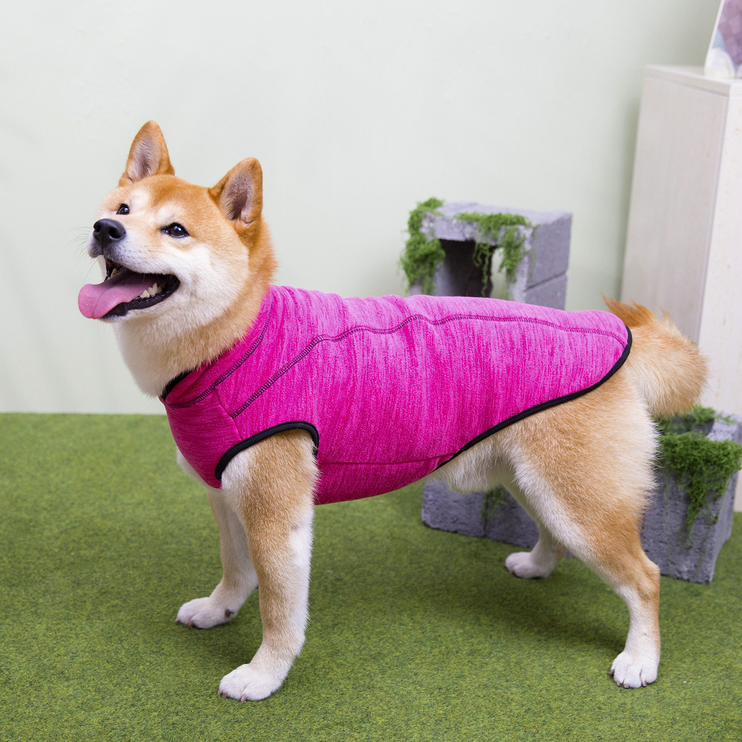 狗狗26新款衣服中型犬秋冬装柯基柴犬比熊金毛保暖可牵引加厚绒衣