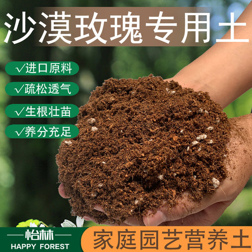沙漠玫瑰专用土绿植盆栽