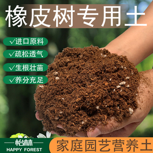 橡皮树适用土盆栽种植蓝莓适用酸性土壤沙性土花泥种植通用营养土