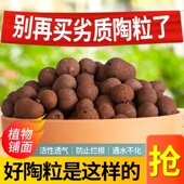 优质陶粒陶碳球负离子无土植栽铺面多肉植物盆栽水培花卉装 饰垫底