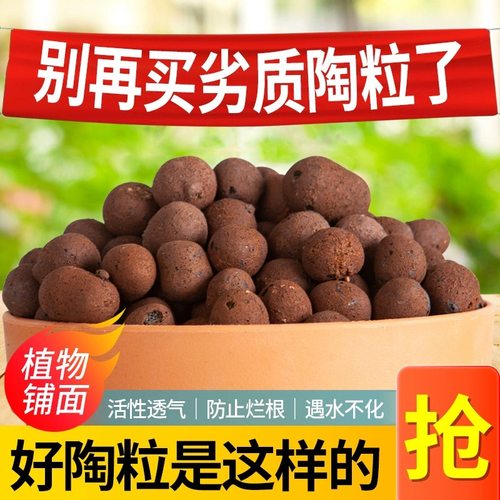 优质陶粒陶碳球负离子花卉装饰