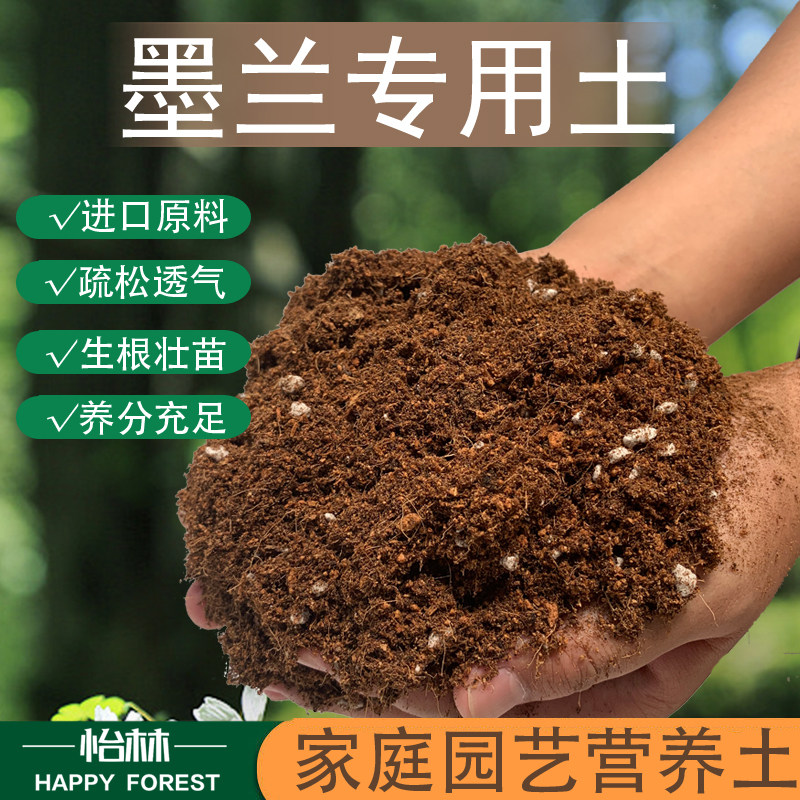 墨兰专用营养绿植盆栽土