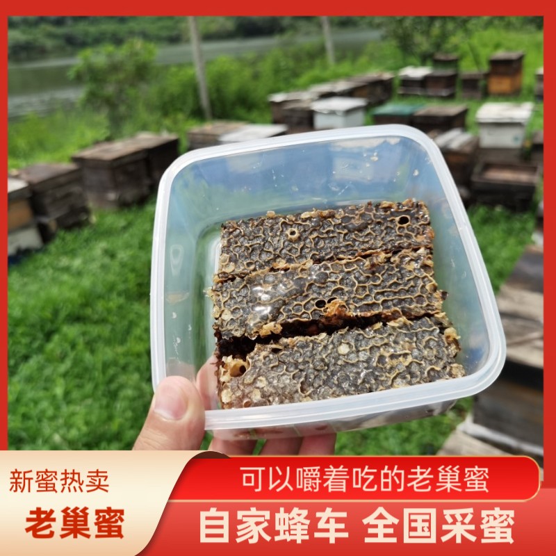 老巢蜜于哥哥家的蜂蜜蜂巢蜜嚼着吃盒装500g纯正天然农家自产包邮